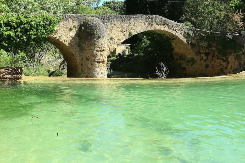 Joli T2 Jardin, Entre Mer/Verdon サレルヌ エクステリア 写真